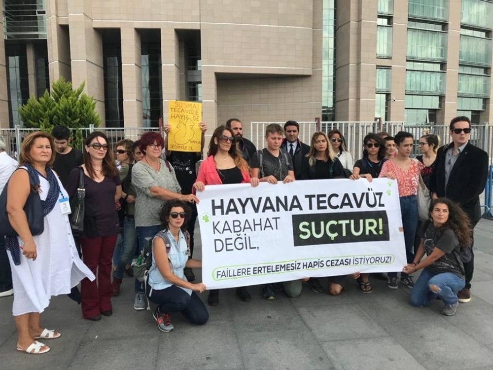 Özge Özgün’le Türkiye’de hayvan hakları, feminizm ve veganlık üzerine söyleşi
